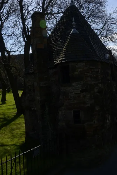 DSC_7341 (Large).JPG